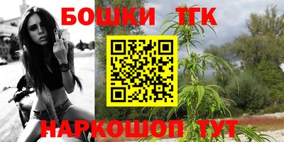 скорость Будённовск