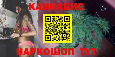сатива Бузулук