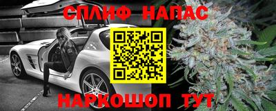 сатива Бузулук